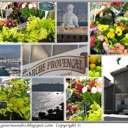Appartement Dans La 