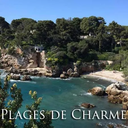 Apartman Dans La 