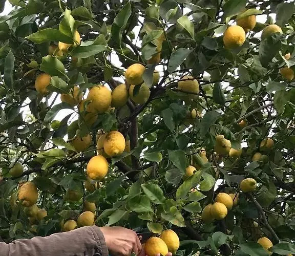 Appartamento Dans La La Méridiane Antibes